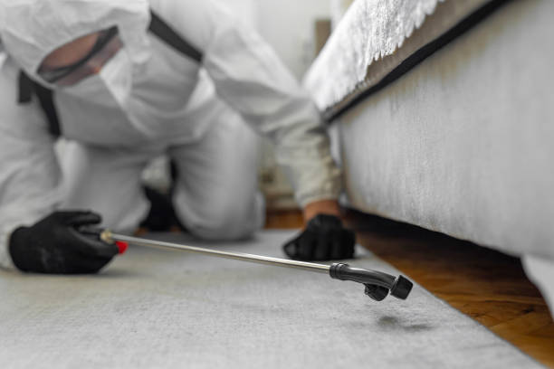 Professional Bed Bug Control technician working in Freeborn County County, MN